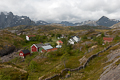 Nesland